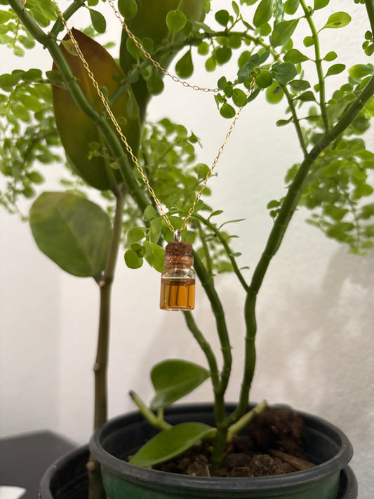 Amuleto de Miel Ritualizada